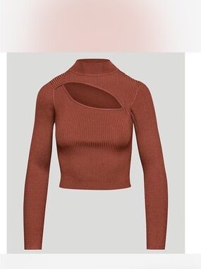 Aritzia imprint top in brown. Size xs. NWT.